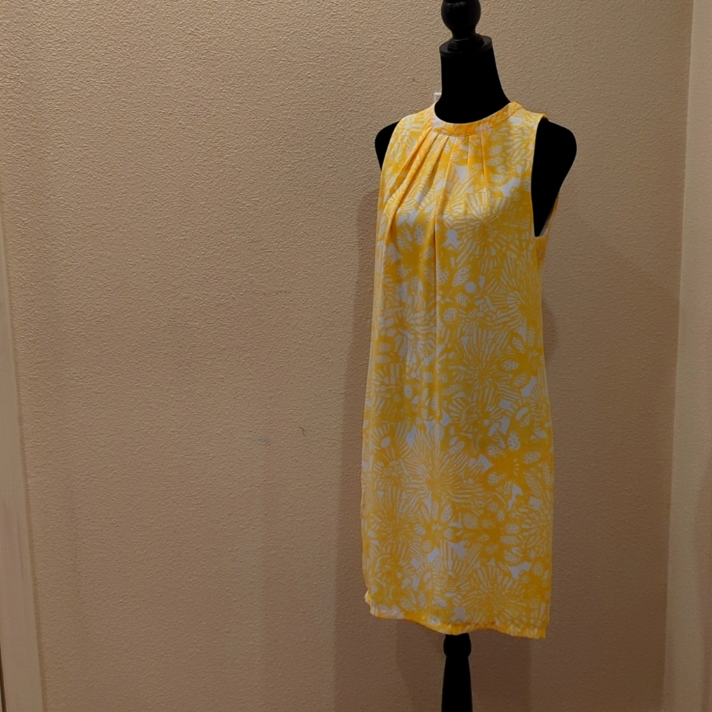 H&M Sleeveless Dress (size 6)